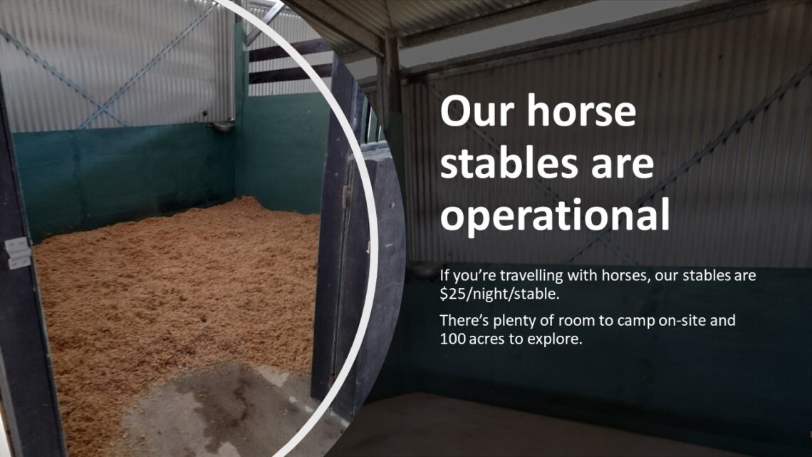 Horse Stables Operational