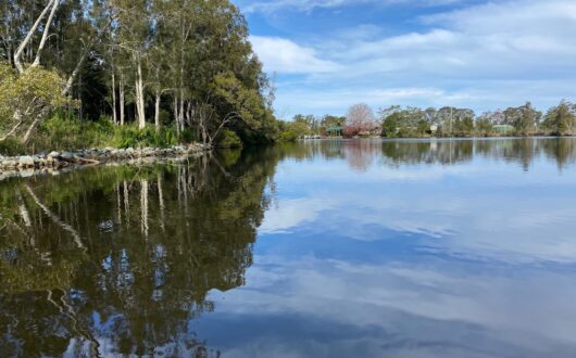 Wallamba River is a great spot for Flathead and Bream fishing